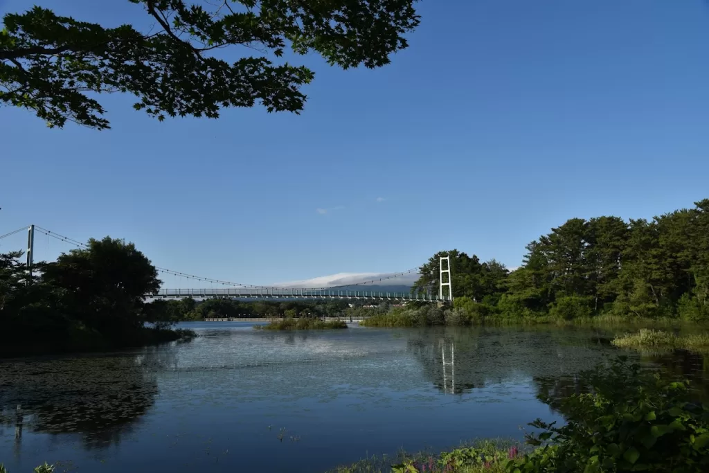 芦野公園-桜松橋