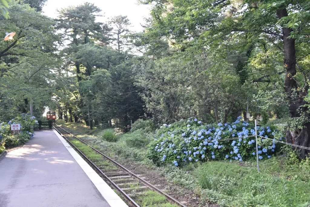 津輕鐵道-芦野公園站-風鈴列車